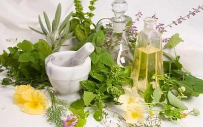 Global market for botanical supplements to grow to $ 90.2 billion by 2020